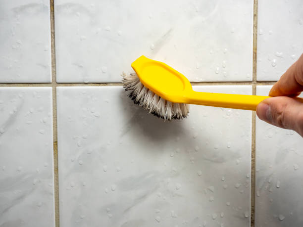 Best Mold Testing and Removal  in Teague, TX
