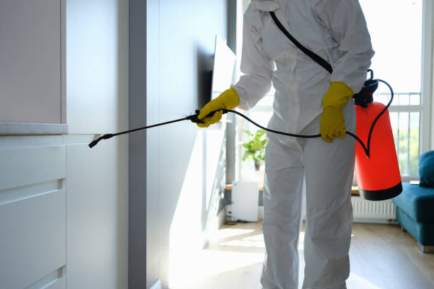 Best Emergency Mold Removal  in Teague, TX