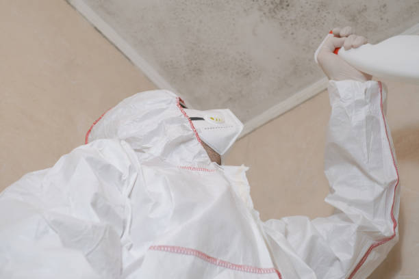 Best Home Mold Removal  in Teague, TX